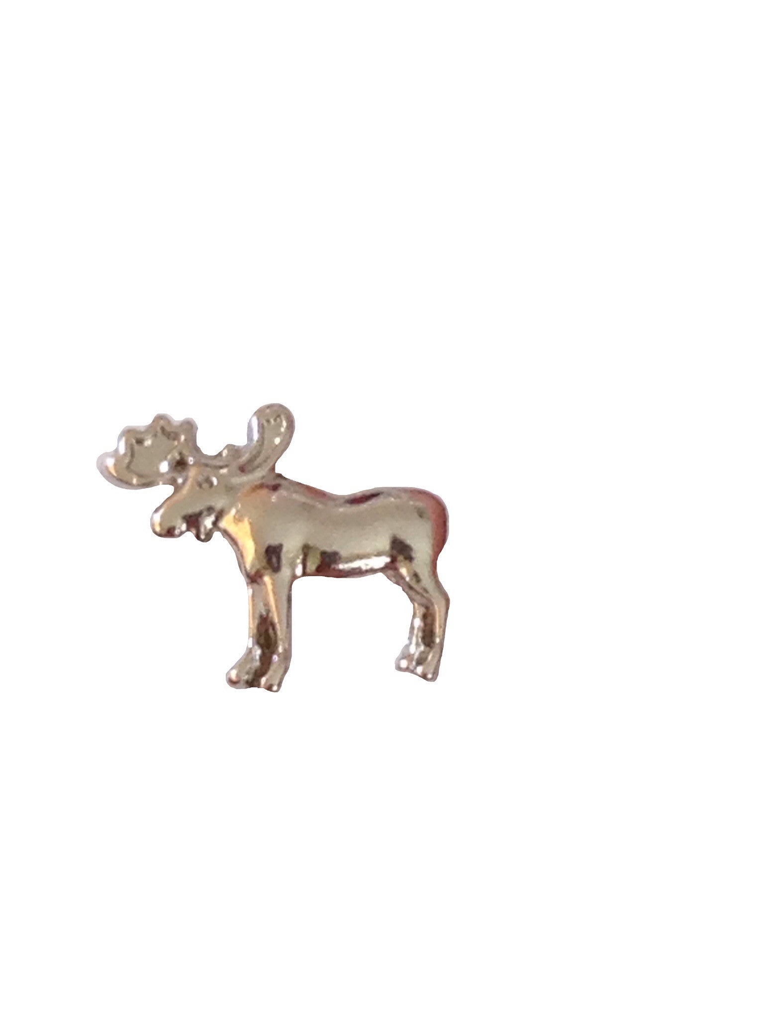 Silver Moose Floating Charm - Stoney Creek Charms