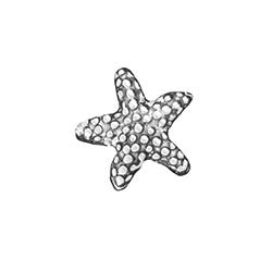 Starfish floating locket charm - Stoney Creek Charms