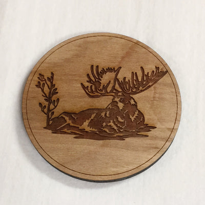 Wooden Birch Coasters