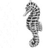 Sea horse floating locket charm